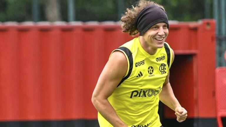 Este é o aproveitamento de David Luiz no Flamengo