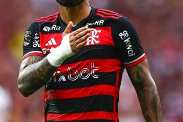 cropped-gabigol-1.jpg