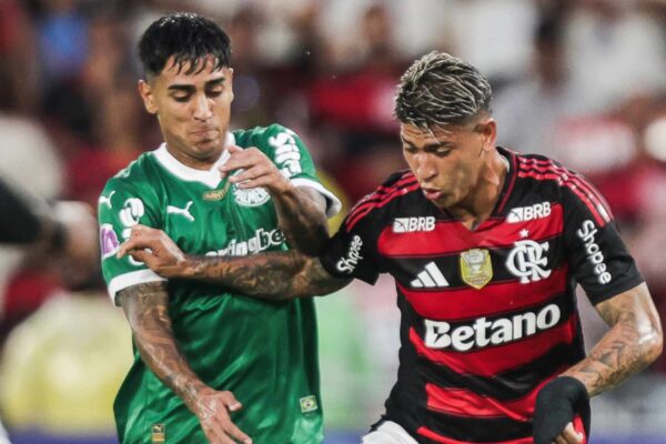 Flamengo recebe o Palmeiras em duelo decisivo pela liderança do Brasileirão no Maracanã. (Imagem: Gilvan de Souza/ Flamengo)